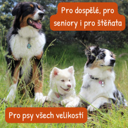 Probican pasta 15ml