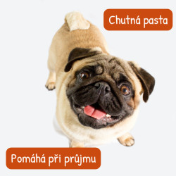 Probican pasta 15ml