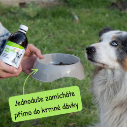 Hyalgel Dog Original jablko 500ml