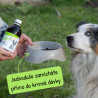 Hyalgel Dog Original jablko 500ml