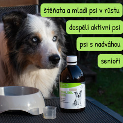 Hyalgel Dog Original jablko 500ml