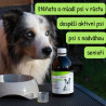 Hyalgel Dog Original jablko 500ml
