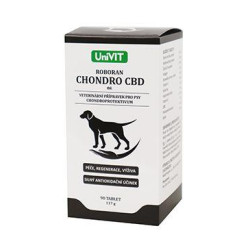 Roboran Chondro CBD pro psy 90tbl