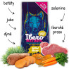 Ibero NATURAL dog GF WILD BOAR 12kg