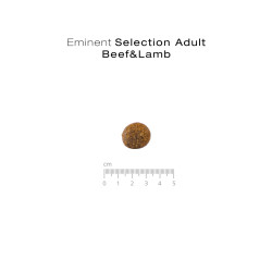 Eminent Selection Dog Adult Beef&Lamb 2kg