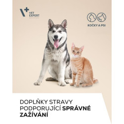 VetExpert Cat, Dog DiarVet paste 20g
