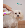 VetExpert Ear Cleanser 75ml