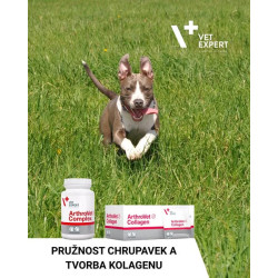 VetExpert ArthroVet HA Complex 90tbl