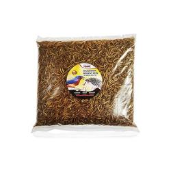 Apetit sušený Moučný červ 500g