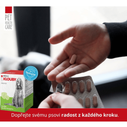 Starostlivosť o kĺby pre psy 90 tbl PHC