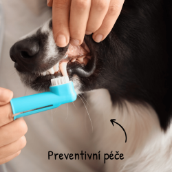 Starostlivosť o zuby a ďasná 100ml PHC