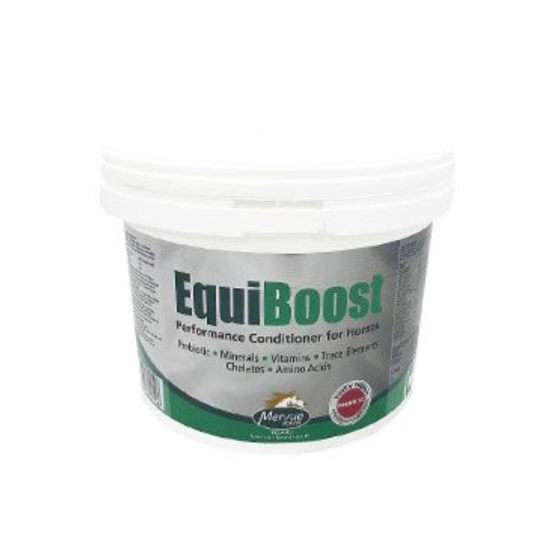 MERVUE EQUIBOOST POWDER kbelík 3kg