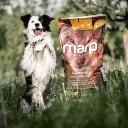 Marp Holistic ALS Lamb Grain Free 12 kg – jahňacie granuly