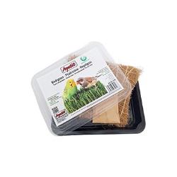 Apetit ptačí tráva, pěstební miska, kokos.rohož 30g