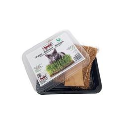 Apetit kočičí tráva, pěstební miska, kokos.rohož 30g
