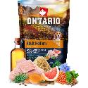Vzorek ONTARIO Adult Medium Fish & Brown Rice 100g