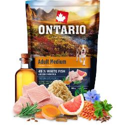 Vzorek ONTARIO Adult Medium Fish & Brown Rice 100g