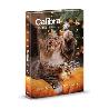 Calibra Cat Adventní kalendář 2026