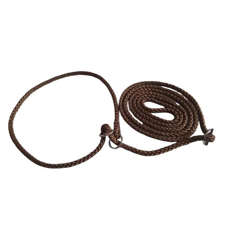 Výstavní vodítko zlatavě hnědé pro velké psy 130cm/7mm