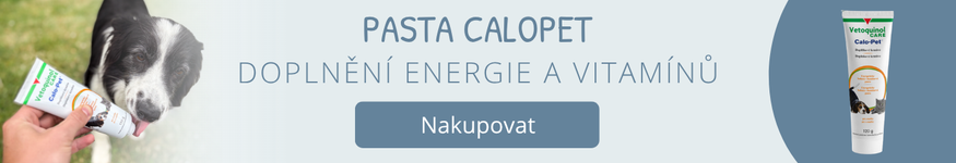 Calopet pre psov aj mačky