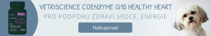 Coenzyme Q10