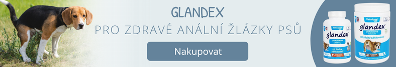 Glandex na análne žľazy psov