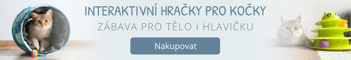 Interaktívne hračky pre mačky