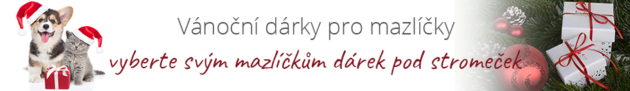 Vánoční dárky