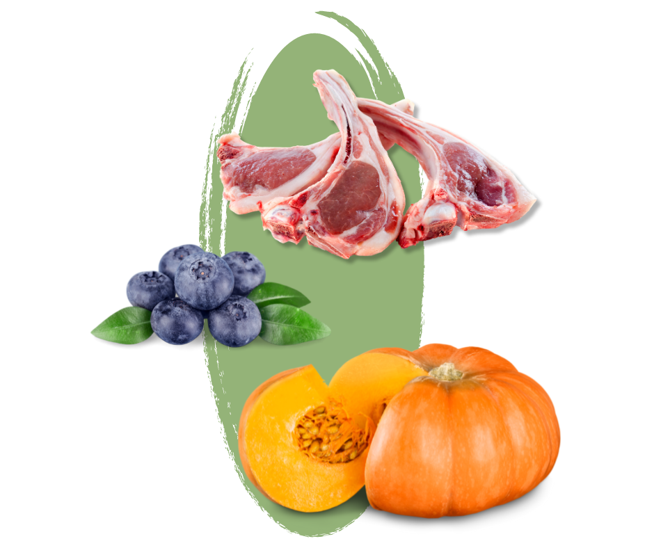 Prednosti granúl N&D Pumpkin s jahňacím, tekvicou a čučoriedkami