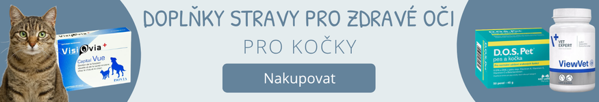Doplnky stravy pre zdravie očí pre mačky