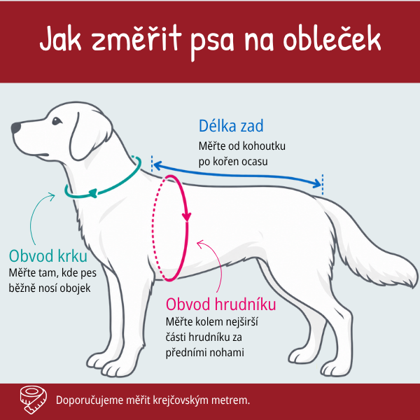 Ako zmerať psa pre výber pooperačného oblečku — dĺžka chrbta, obvod krku a obvod hrudníka