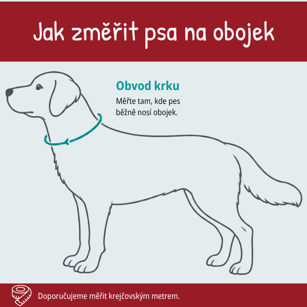 Ako zmerať psa na obojok — obvod krku