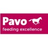 Pavo