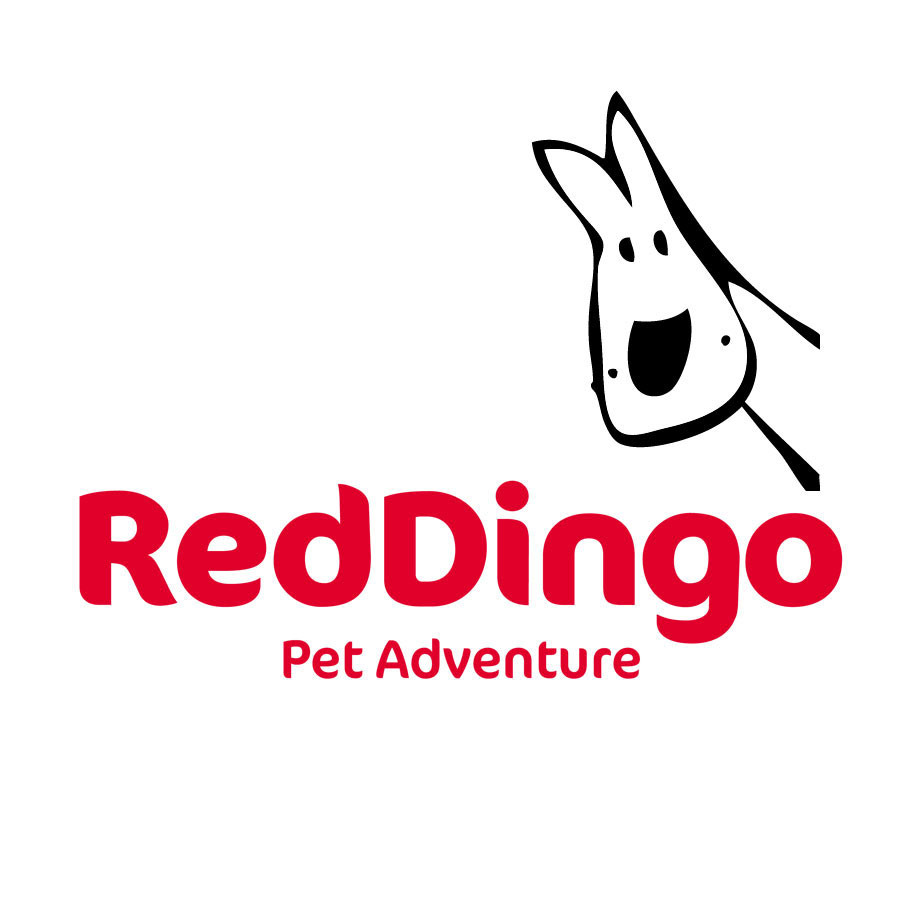Red Dingo