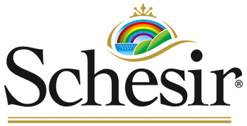 Schesir