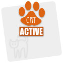 Active Cat