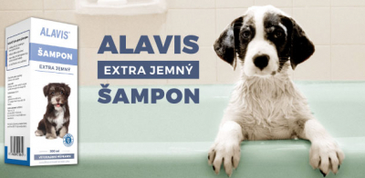 Veterinárny šampón Alavis: rozlúčte sa s kožnými problémami