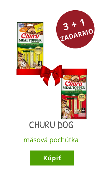 Churu dog